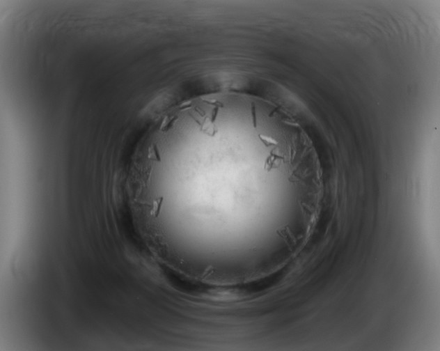 X0000086100218200703301222