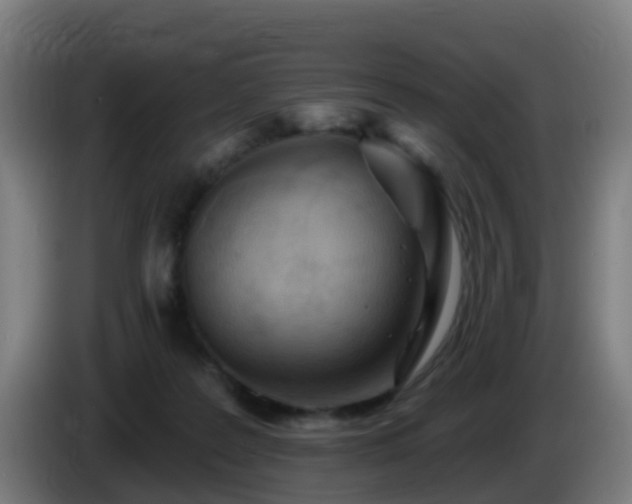 X0000086100219200703301222