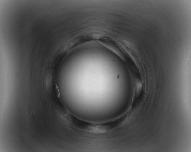 X0000086100221200703301222