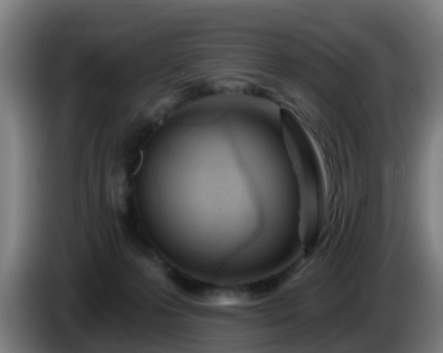 X0000086100223200703301222