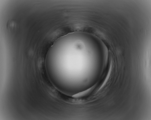 X0000086100225200703301222