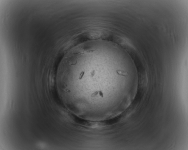X0000086100226200703301222