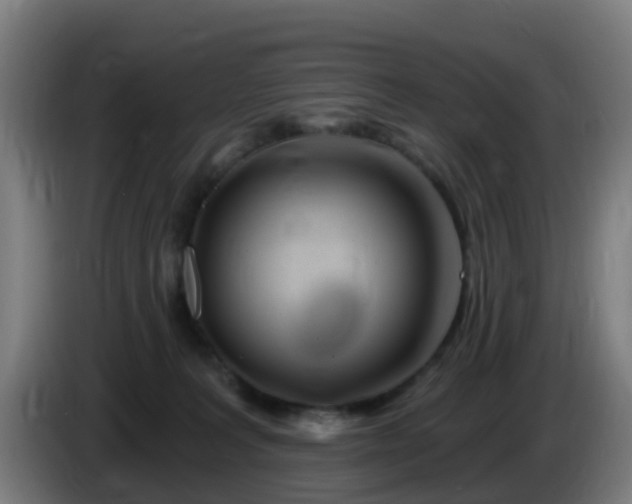 X0000086100227200703301222