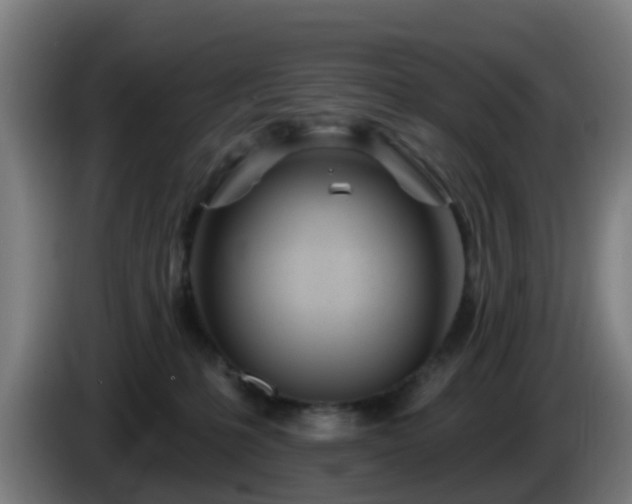 X0000086100231200703301222