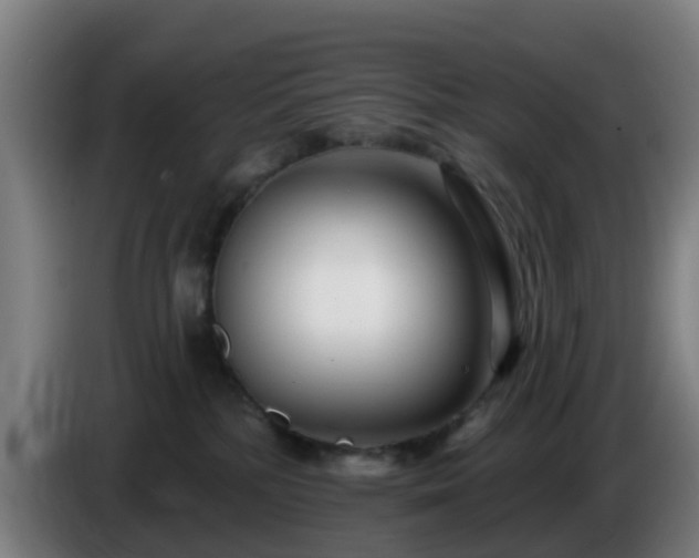 X0000086100232200703301222