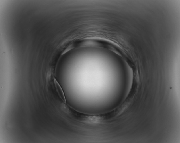 X0000086100233200703301222