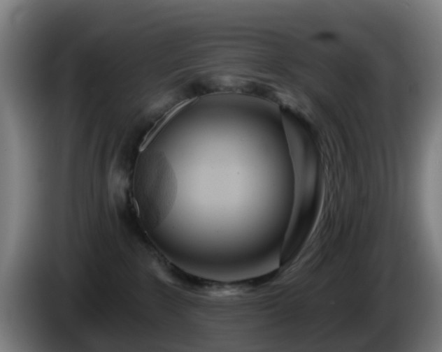 X0000086100235200703301222