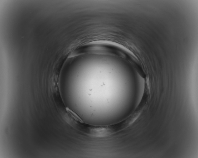 X0000086100237200703301221