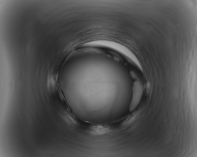 X0000086100239200703301221