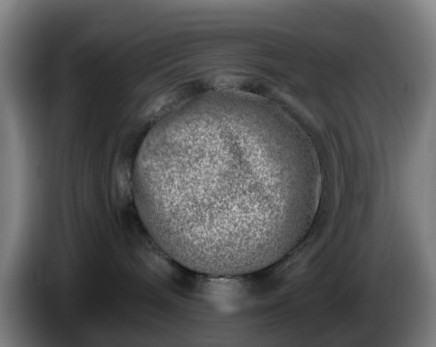 X0000086100240200703301221