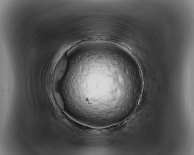 X0000086100241200703301221