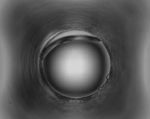 X0000086100242200703301221