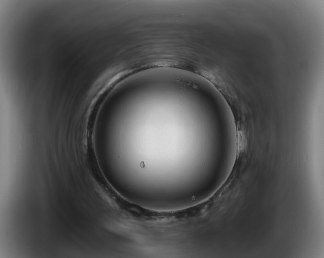 X0000086100243200703301221