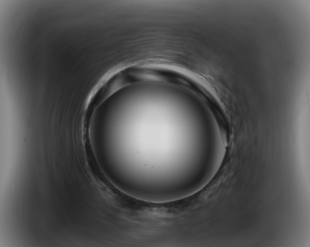 X0000086100244200703301221