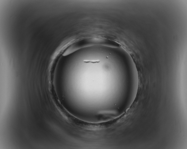 X0000086100245200703301221