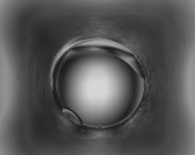 X0000086100246200703301221