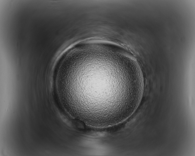 X0000086100247200703301221