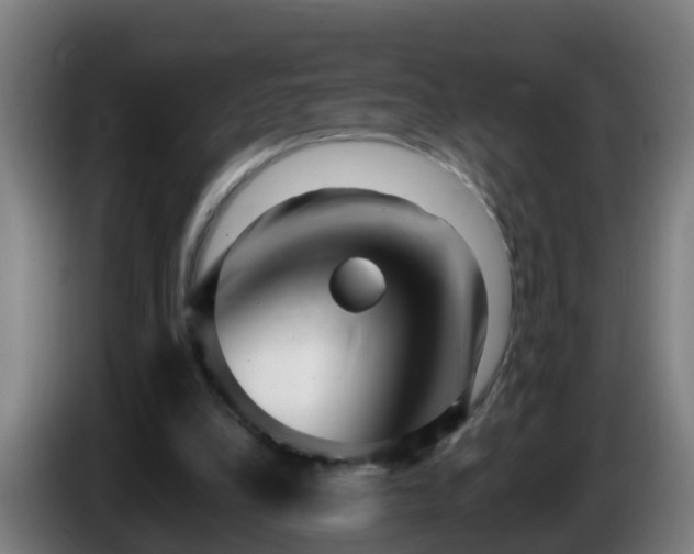 X0000086100248200703301221