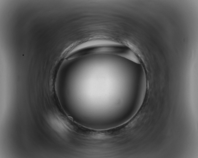 X0000086100249200703301221