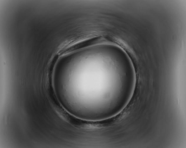 X0000086100250200703301221