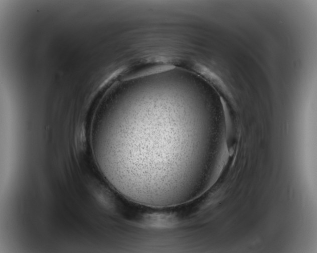 X0000086100251200703301221