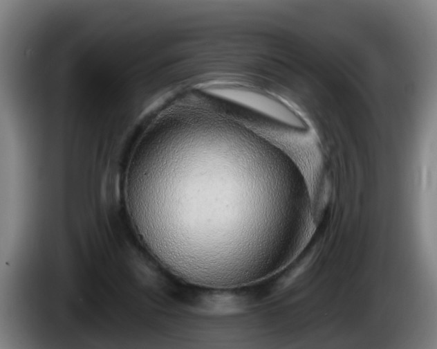 X0000086100253200703301221