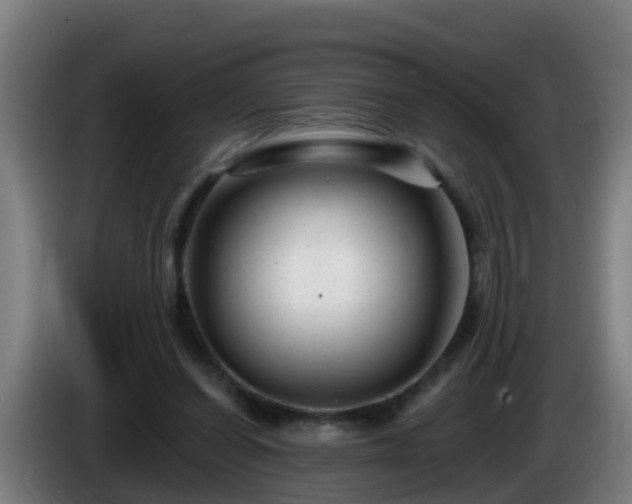 X0000086100254200703301221