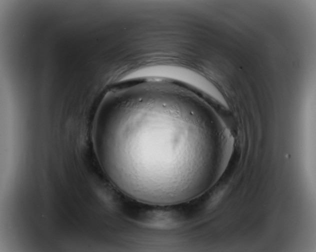 X0000086100255200703301221