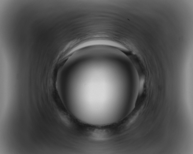 X0000086100256200703301221