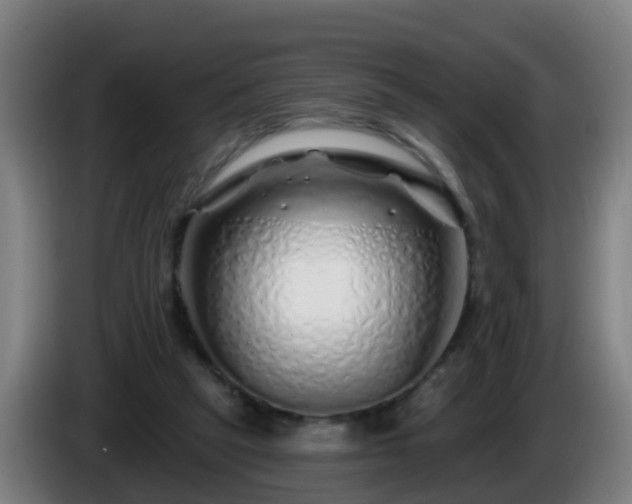 X0000086100257200703301221
