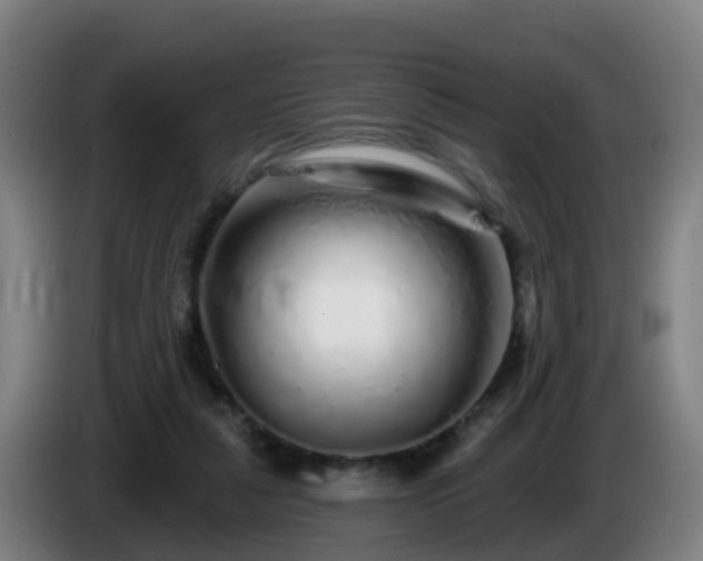 X0000086100259200703301221