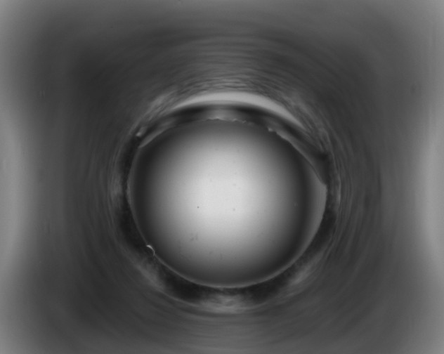 X0000086100260200703301221