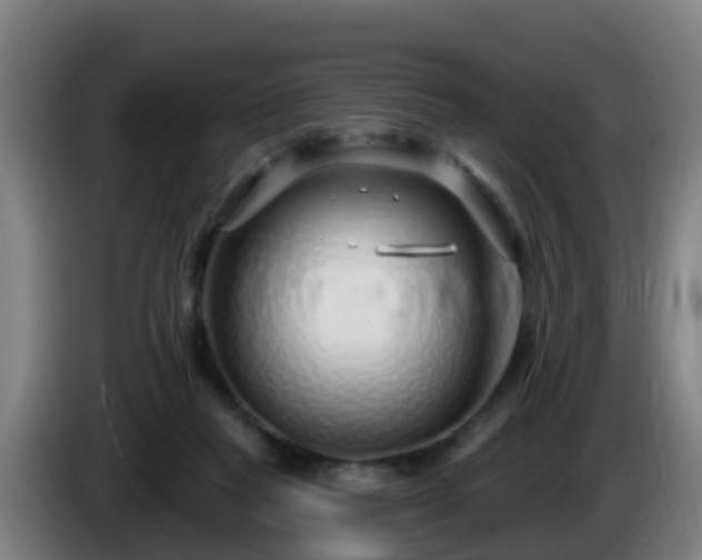 X0000086100261200703301221