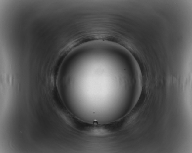 X0000086100262200703301221