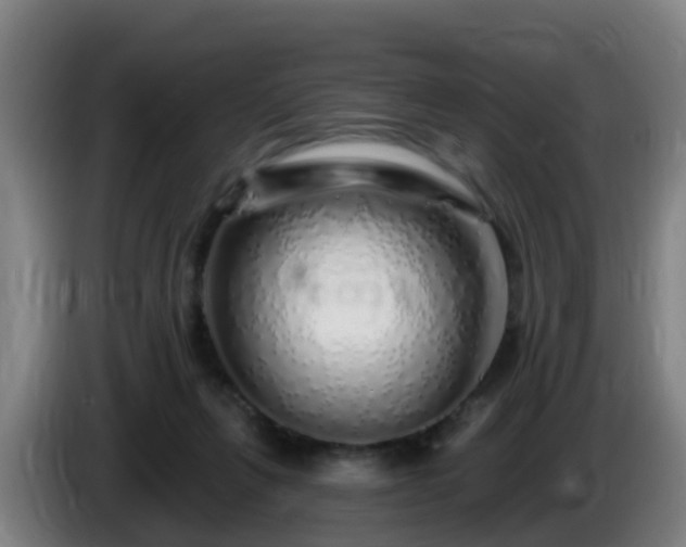 X0000086100263200703301221