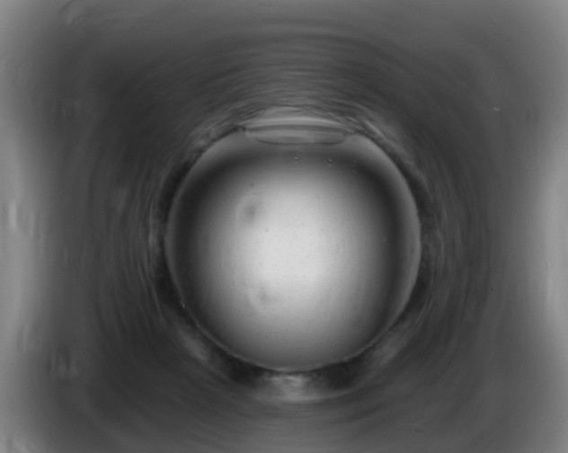 X0000086100265200703301221