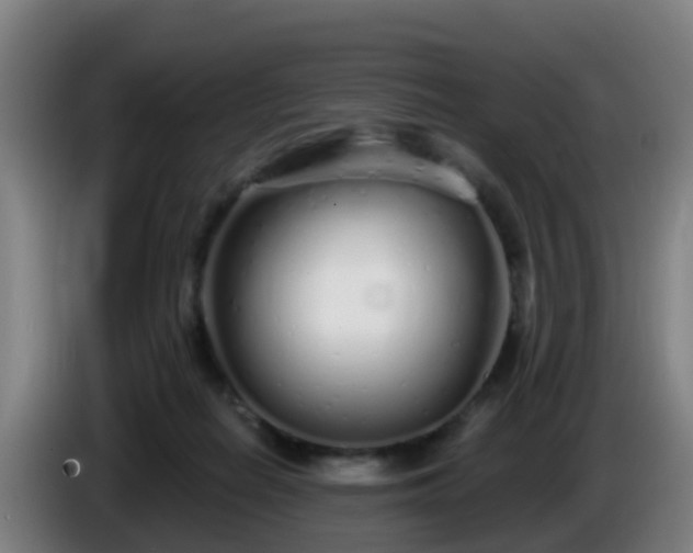 X0000086100266200703301221