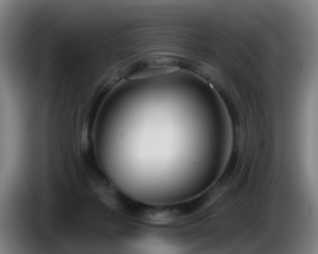 X0000086100267200703301221