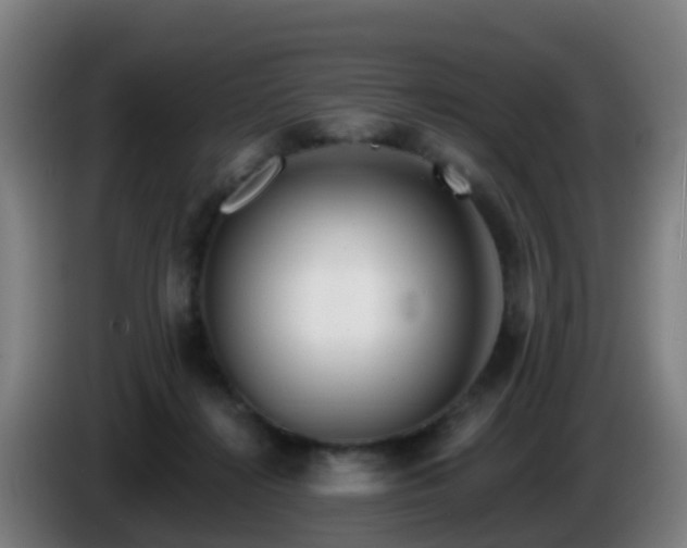 X0000086100268200703301221