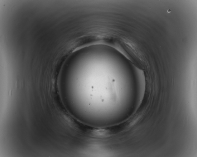 X0000086100269200703301221