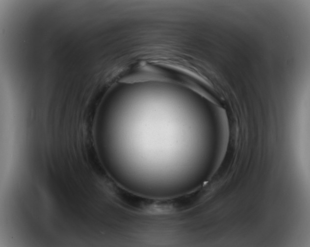 X0000086100270200703301221