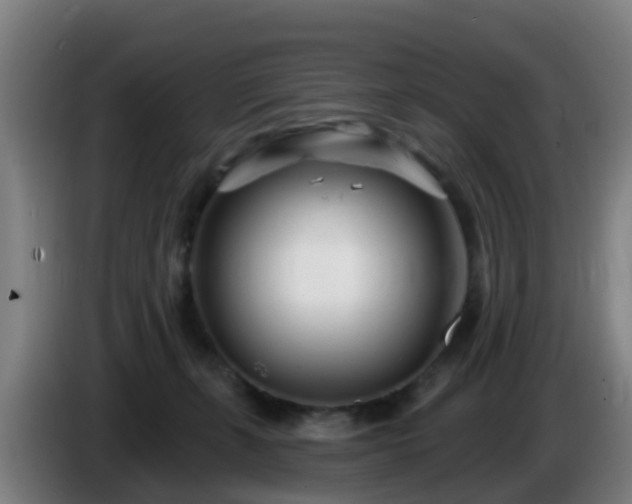 X0000086100271200703301221