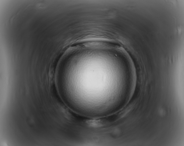 X0000086100273200703301221