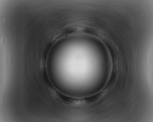 X0000086100274200703301221
