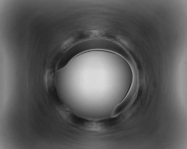 X0000086100276200703301221