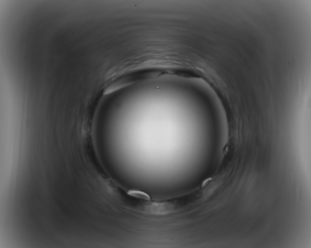 X0000086100277200703301221