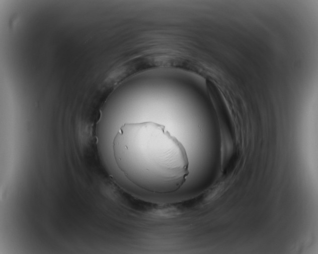 X0000086100278200703301221