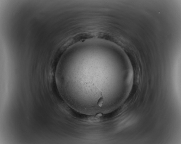 X0000086100279200703301221