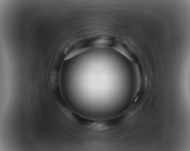 X0000086100280200703301221
