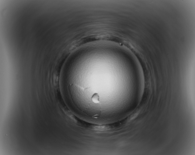 X0000086100281200703301221